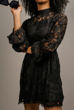 Monica Lace High Neck Dress - Little Black Pistol